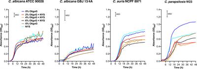 Alginate oligosaccharides enhance the antifungal activity of nystatin against candidal biofilms